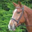 Shires Aviemore Comfort Fit Bridle Havana